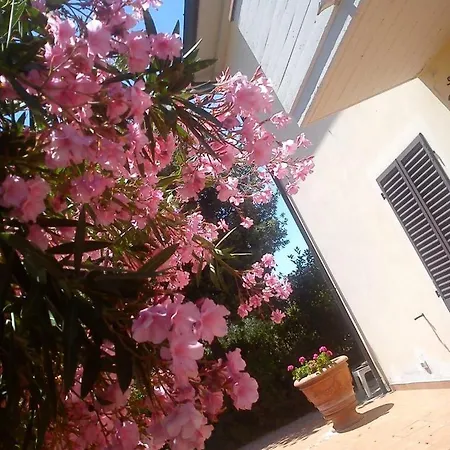 Fiore Di Loto Maison d'hôtes Cortone