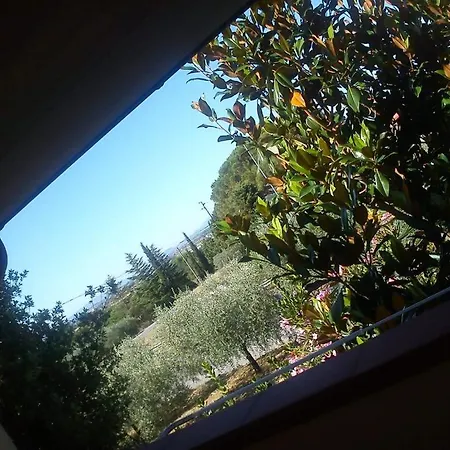 Fiore Di Loto Pensjonat *