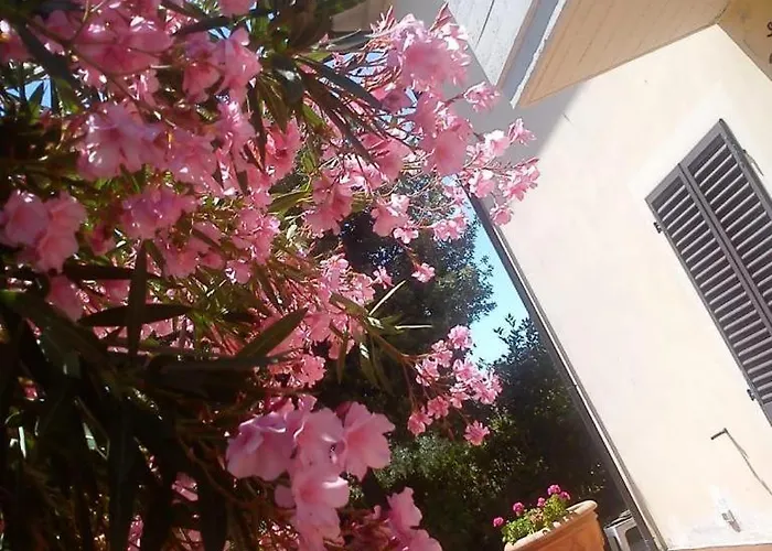 Fiore Di Loto Vendégház Cortona